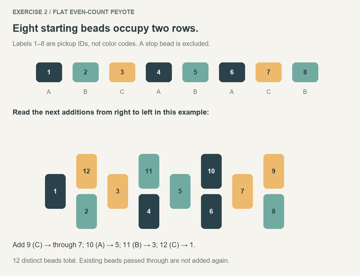 Eight initial peyote beads rearranged into two interleaved rows with four new beads numbered 9 to 12